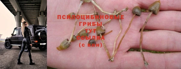 мяу мяу кристалл Армянск