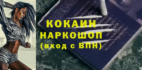 шишки Арсеньев