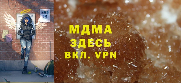 шишки Арсеньев