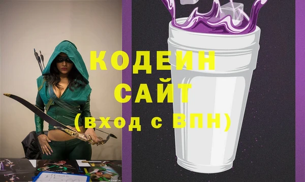 шишки Арсеньев